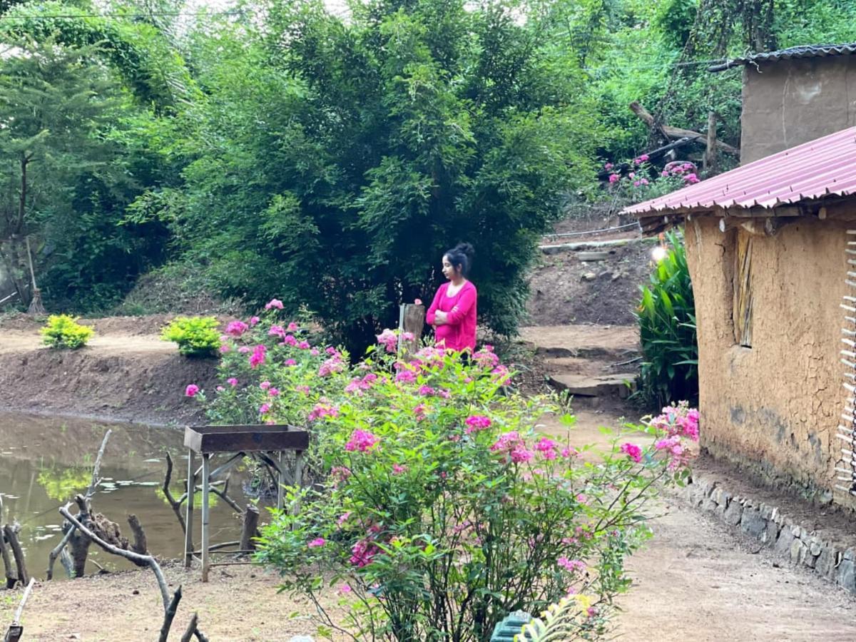 Eco Lodge Meemure & Adventure Park Mimure Kültér fotó